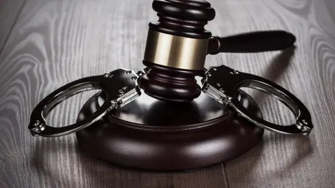 Зеленський підписав закон про відповідальність за шахрайські кол-центри