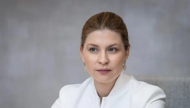 13,9 млн грн незаконного збагачення: НАБУ оголосило підозру експосолці Стефанішиній