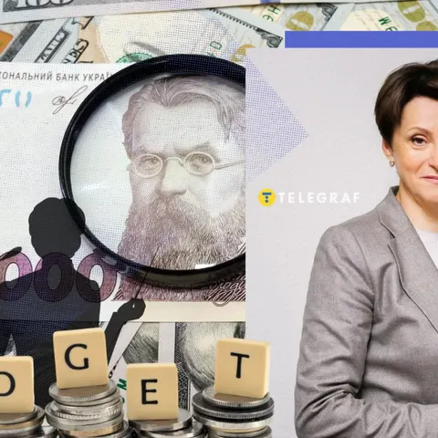 Южаніна про заяви Мінфіну: «Кризи не бачу, але депутатів лякають»