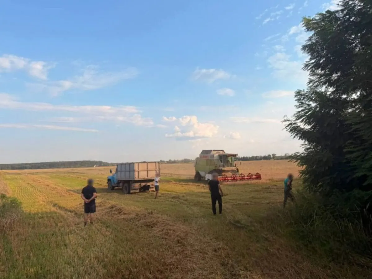 Депутат на Вінниччині засіяв 85 га без оренди: справу передали до суду