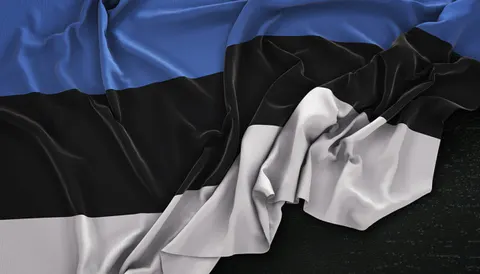 67 депутатів Естонії хочуть щороку давати Україні 0,25% ВВП