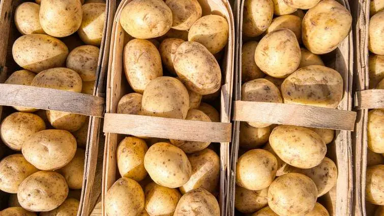 Картоплі вистачить: ціни вже впали на 15%