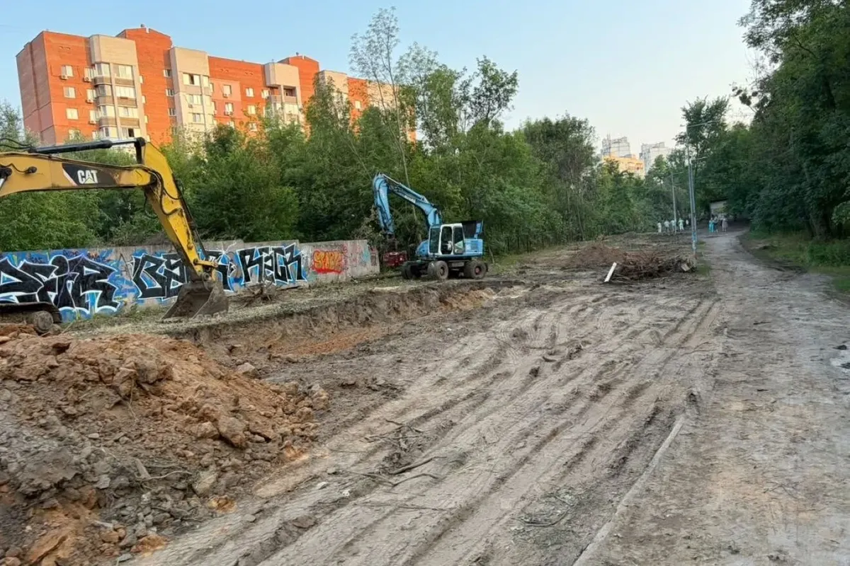 Теремки: експерти пропонують врятувати сотні дерев альтернативним проєктом
