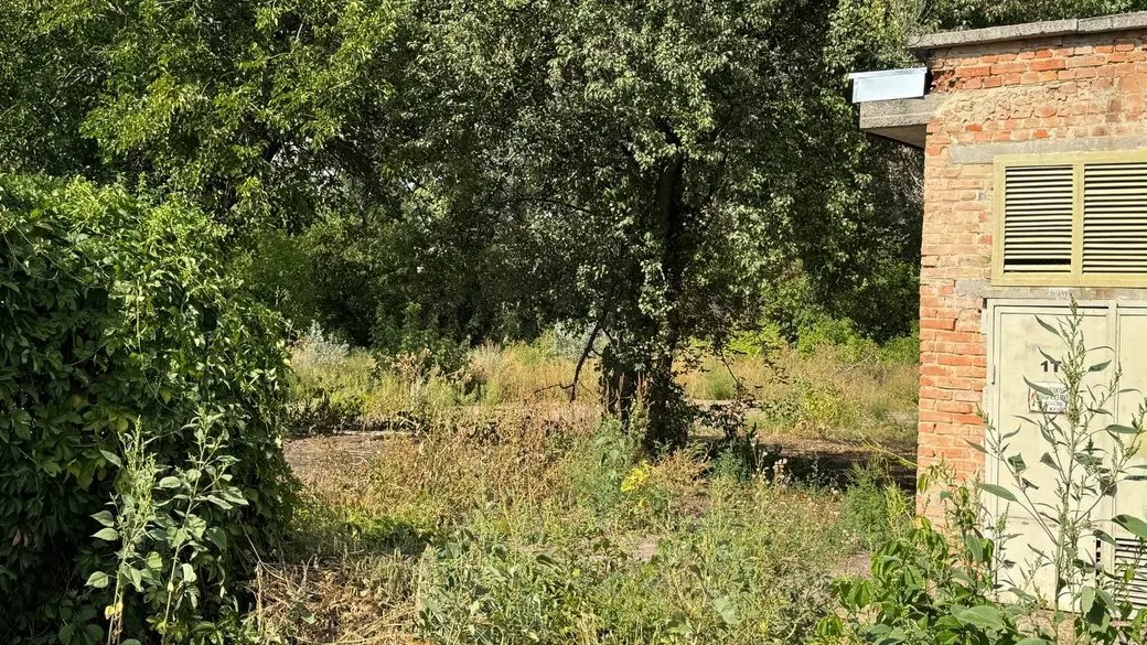 Суд у Кропивницькому поставив на паузу справу про лісопарк «Никанорівський»