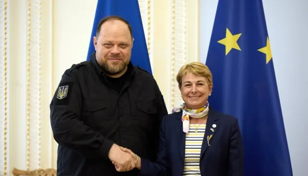 Стефанчук і Берро-Амадей обговорили новий План дій Ради Європи для України
