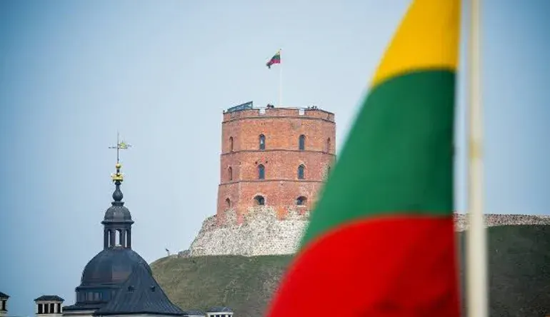 Литва попередила про провокації рф з українськими дронами
