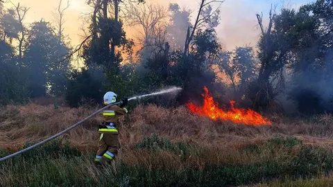 Лісова пожежа на Черкащині: вогонь охопив 100 гектарів