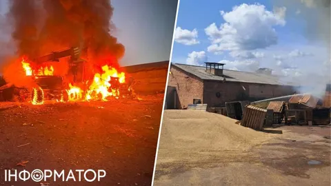Майже 100 ударів за пів року: як агробізнес Чернігівщини працює під обстрілами