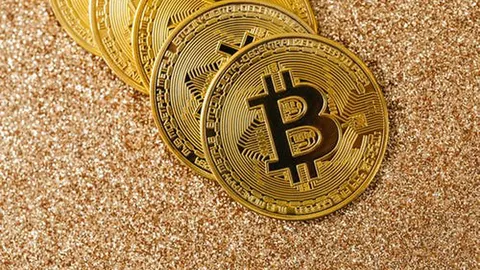 Біткойн злетів до $68,5 тисячі напередодні зустрічі Трампа з криптоіндустрією