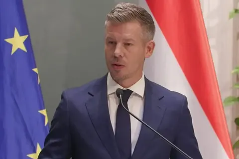 Мадяр відмовився від «Карпатської вісімки»: Сибіга каже, що Україна здивована