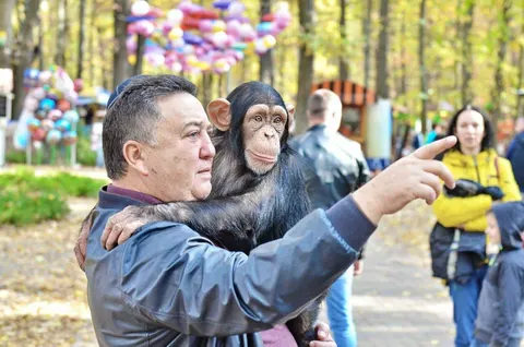 Мовний омбудсман оштрафував Фельдмана та керівника ГО за російськомовну рекламу