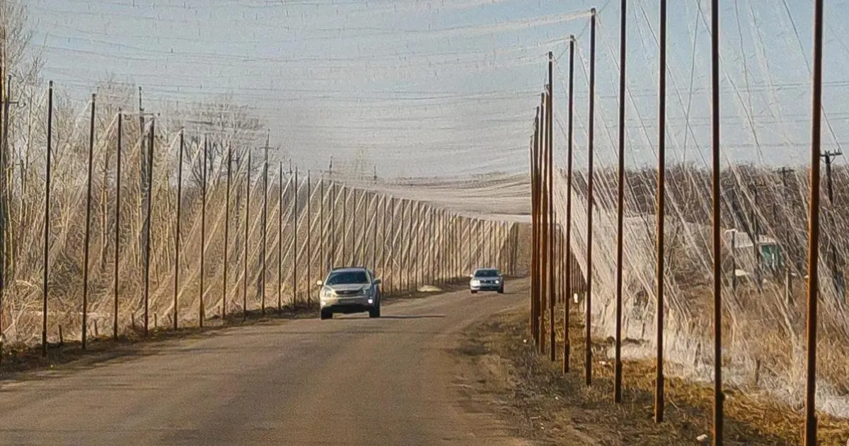 На антидроновий захист доріг виділять 789 мільйонів гривень