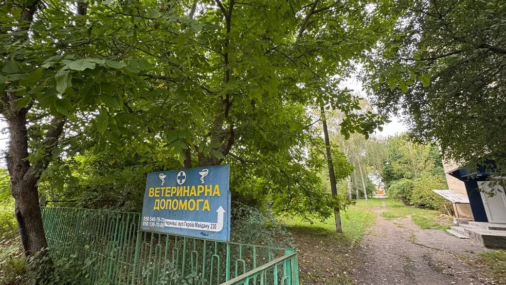 У Чернівцях за 110 млн грн зведуть реабілітаційний центр для ветеранів