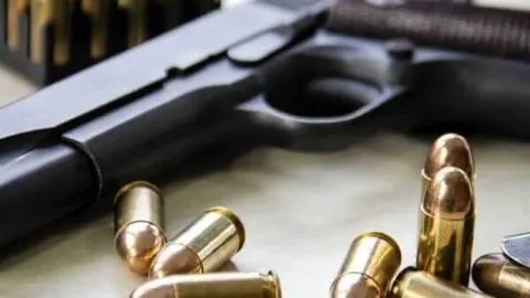 Сухачов: Україна не готова до вільного обігу зброї для самозахисту